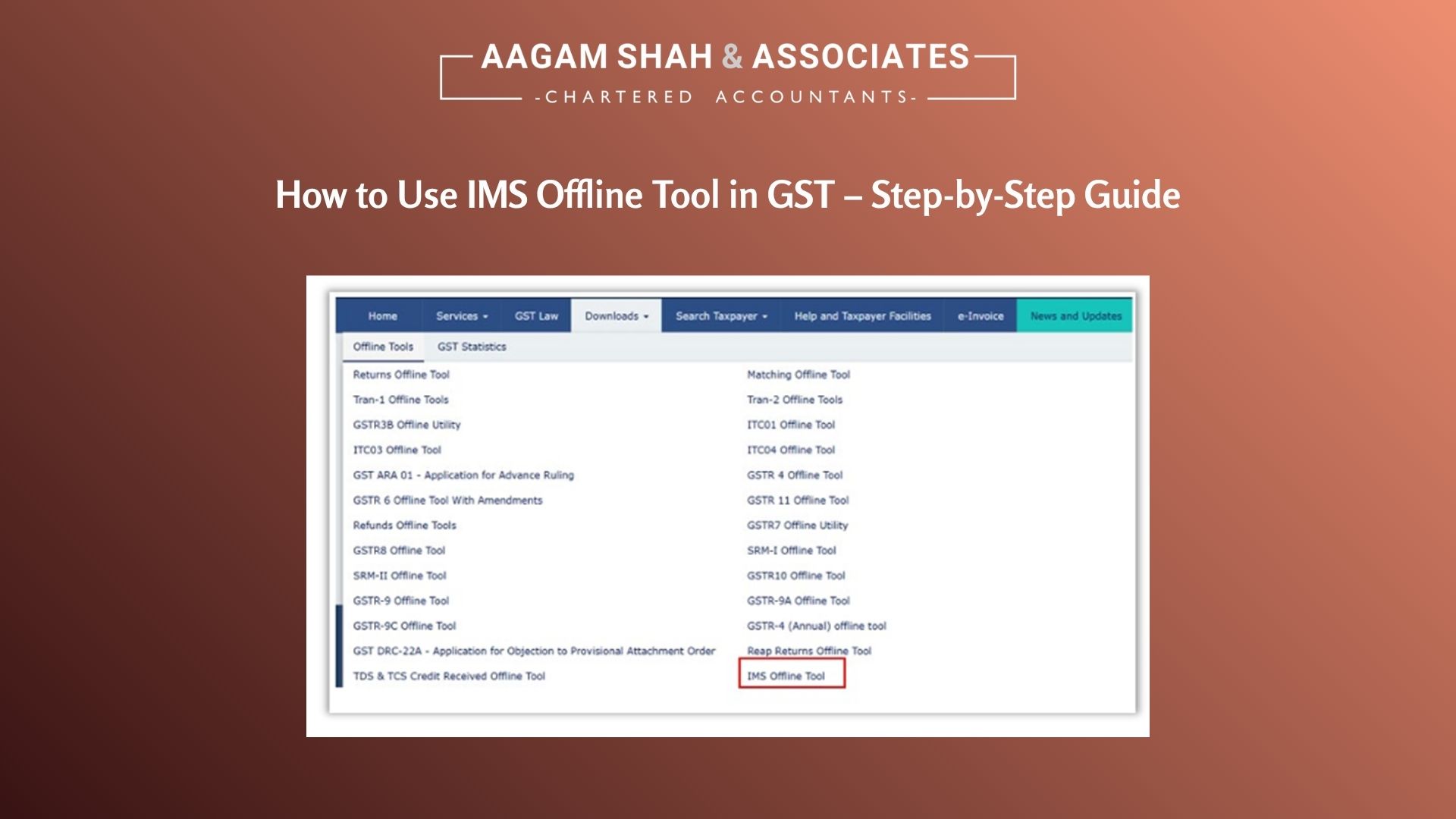 How to Use IMS Offline Tool in GST – Step-by-Step Guide